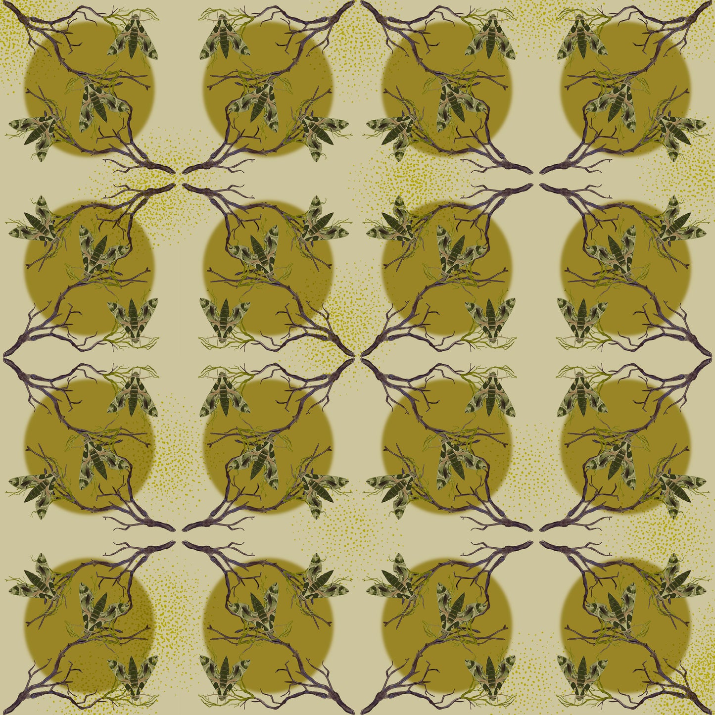HawkMoth_01